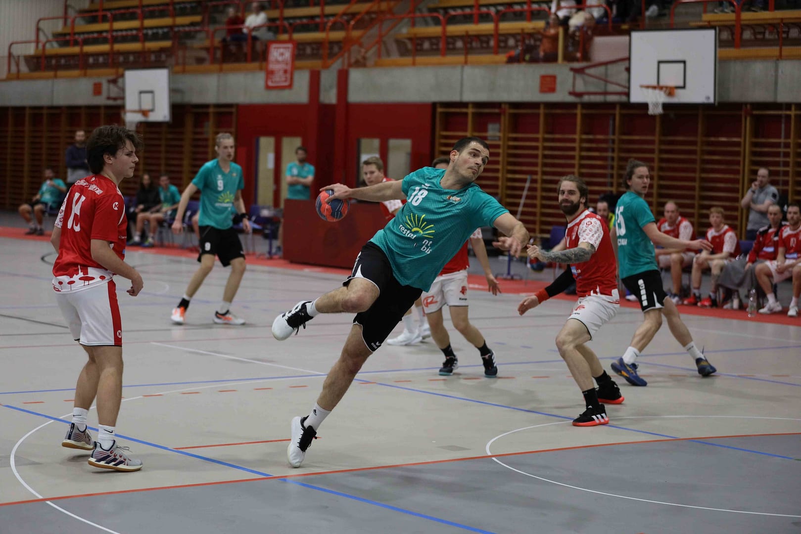 Albis Foxes Handball
